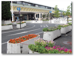 公共施設植栽委託1の写真