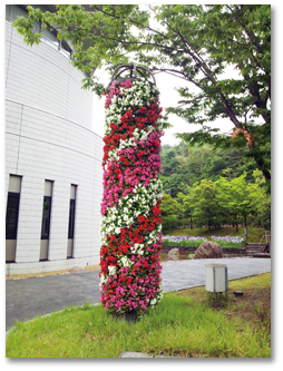 公共施設植栽委託3の写真