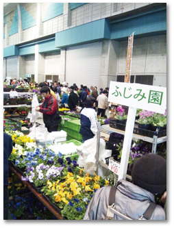 フラワーフェスティバル香川の写真